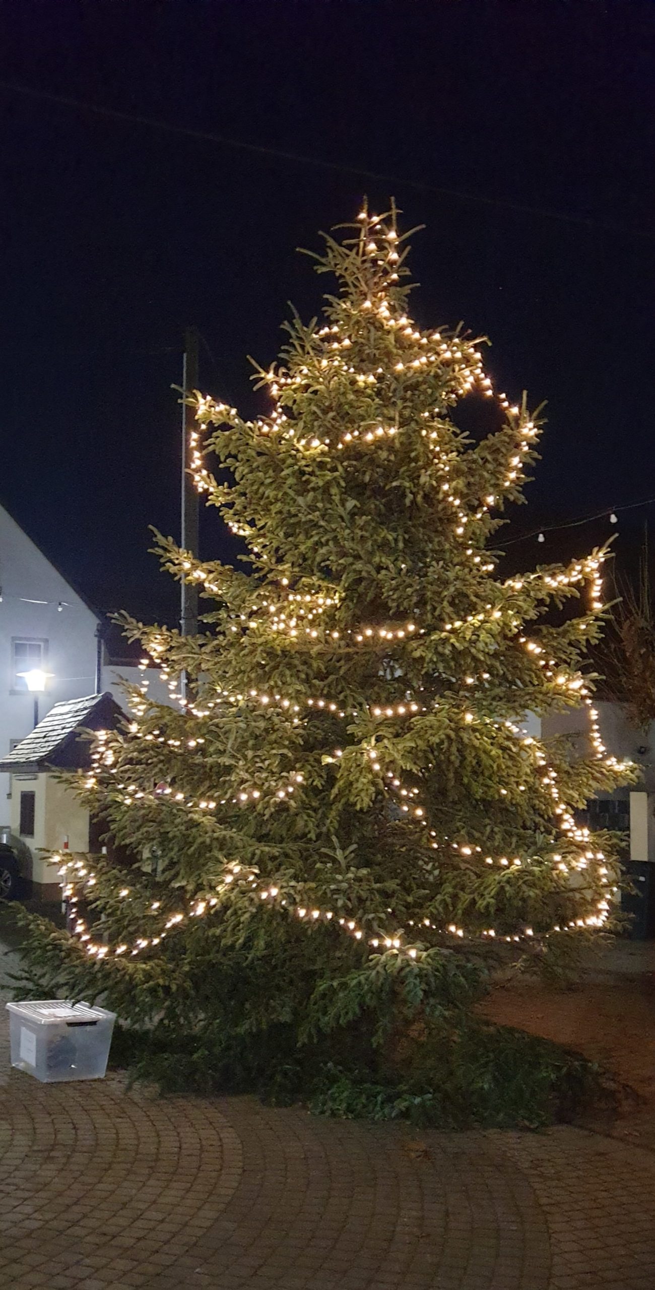 Tannenbaum Königstuhlstraße